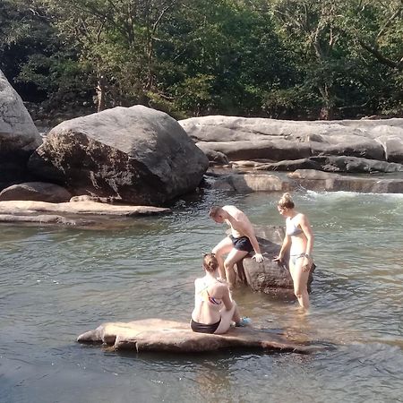 Jungle Village Homestay Pinnawala  Zewnętrze zdjęcie