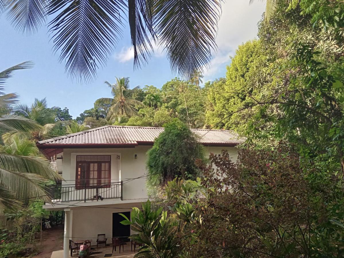 Jungle Village Homestay Pinnawala  Zewnętrze zdjęcie