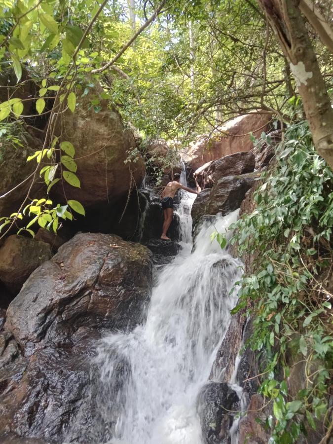 Jungle Village Homestay Pinnawala  Zewnętrze zdjęcie
