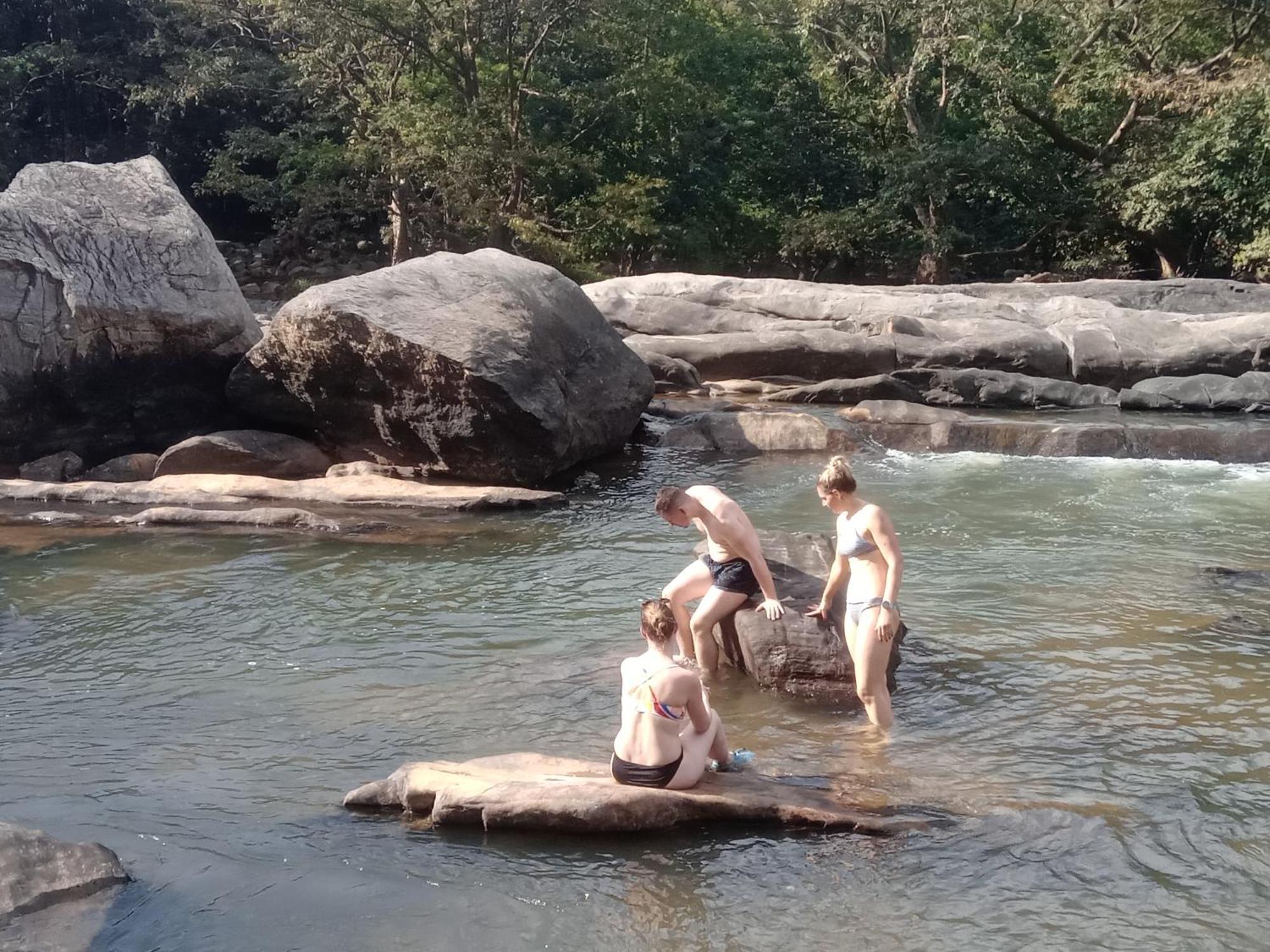 Jungle Village Homestay Pinnawala  Zewnętrze zdjęcie