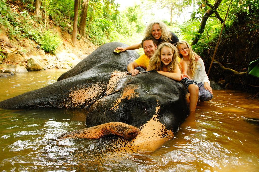 Jungle Village Homestay Pinnawala  Zewnętrze zdjęcie