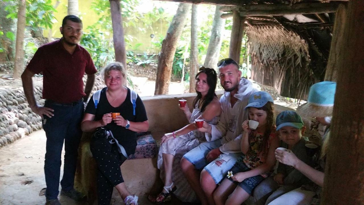 Jungle Village Homestay Pinnawala  Zewnętrze zdjęcie